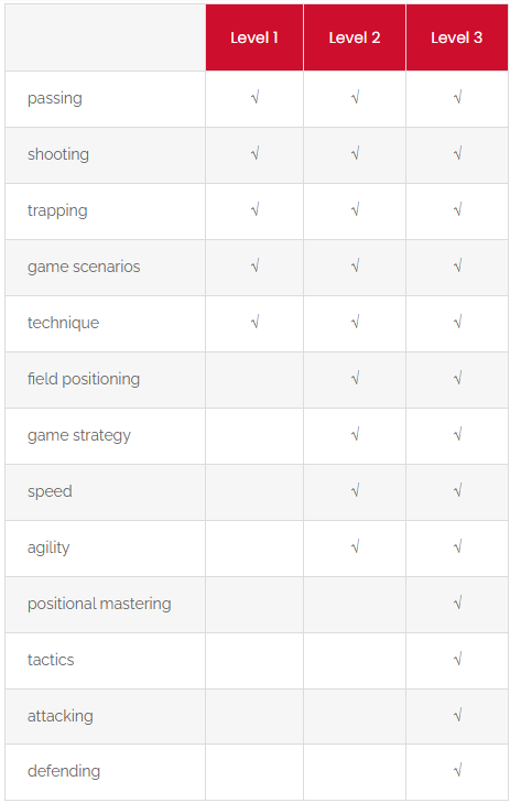 chart of different Skills institute skills focuses by class level